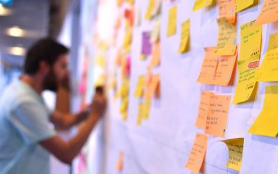 NOVAZOON Best Practice: Strategic Data Framework